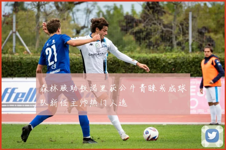 森林狼助教诺里获公牛青睐或成球队新任主帅热门人选